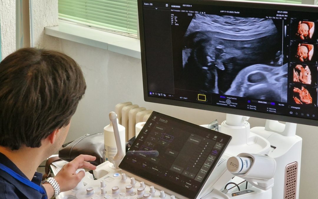 Seminar ginekološko akušerske sekcije SLD Zrenjanin  – 20. I 21. Mart 2026