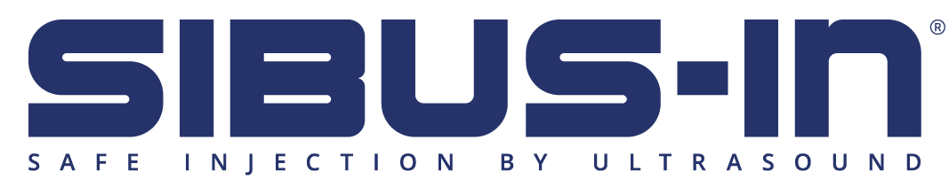 v3a_sibusin_blue_logo (1)